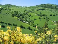 Kümbet Yaylası