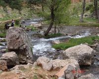 Başpınar Tabiat Parkı