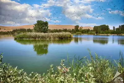 26 Ağustos Tabiat Parkı