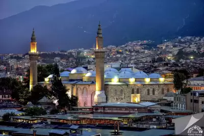 Bursa