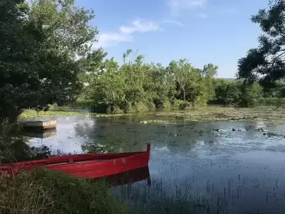 Karacabey Longoz Ormanları