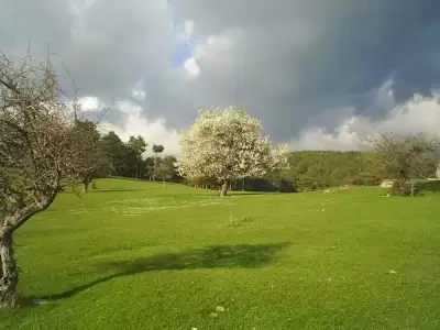 Koca Yayla