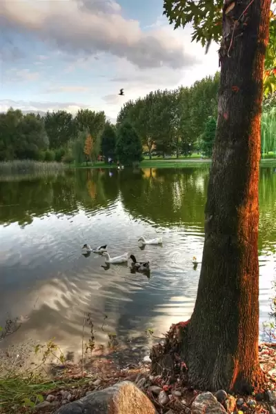 Soğanlı Botanik Parkı