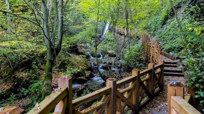 Aydınpınar Waterfall Nature Park – Duzce photo 4