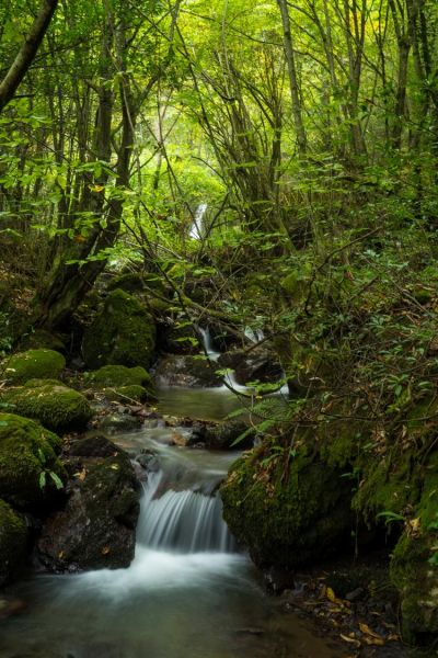 Aydınpınar Waterfall Nature Park – Duzce photo 5