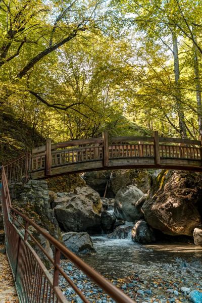 Düzce'nin Tabiat Parkları ahşap köprü dere taşları üzerinde