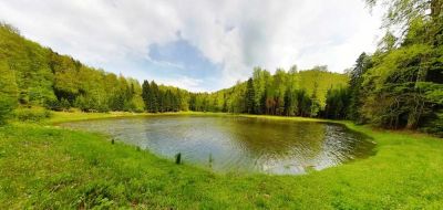 Düzce Plateaus – Duzce photo 2
