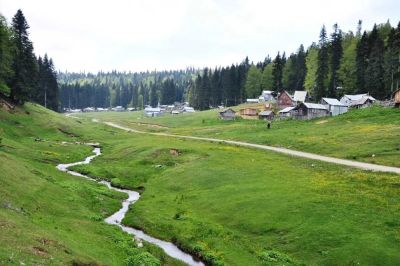 Düzce Plateaus – Duzce photo 3