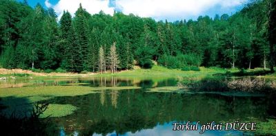 Düzce Plateaus – Duzce photo 4