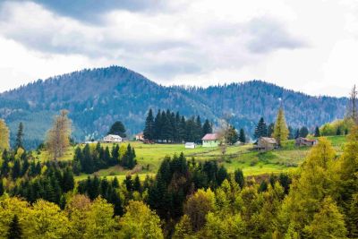 Düzce Plateaus – Duzce photo 5