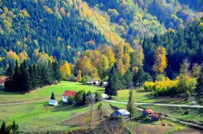 Düzce Plateaus
