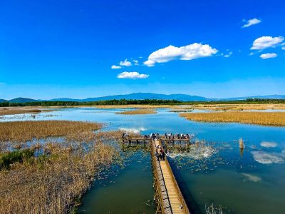 Efteni Lake mountain views and waterfowl