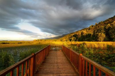Efteni Lake sunset and forest views