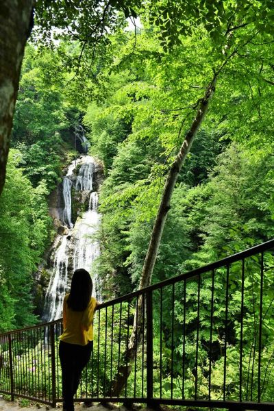 Guzeldere Selalesi Nature Park forest observation platform