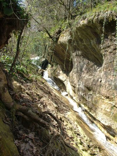 Kurugöl Canyon – Duzce photo 4