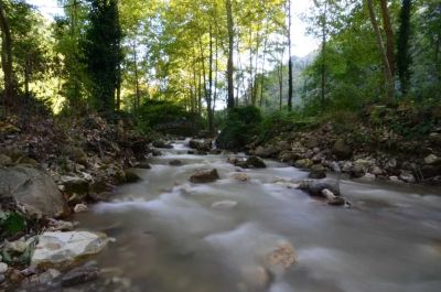 Kurugöl Canyon – Duzce photo 5