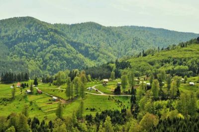 Odayeri Plateau green valley and forest ecosystem