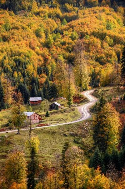 Shingle road and autumn trees from Odayeri Plateau
