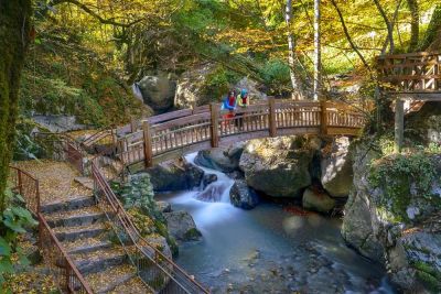 Samandere Waterfall Nature Monument wooden bridge and forest