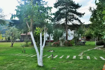 Sazköy Tekir Village House – Duzce photo 3
