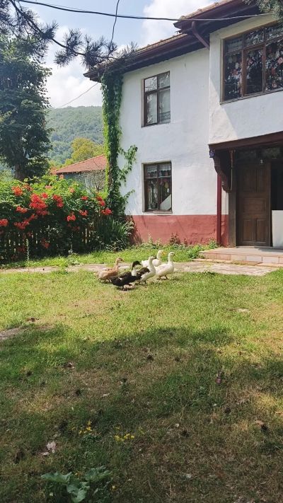 Sazköy Tekir Village House – Duzce photo 5