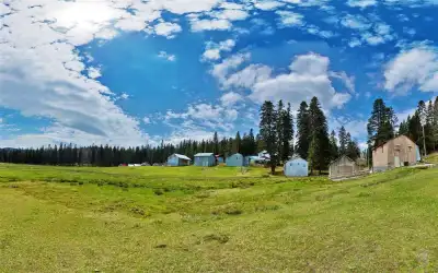 Sinekli Plateau pastoral farm landscape with wide green areas