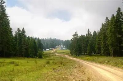 Sinekli Plateau dirt road and mountain forest landscape