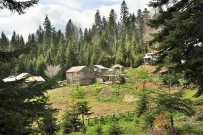 Sinekli Plateau adobe houses and trees on a steep slope