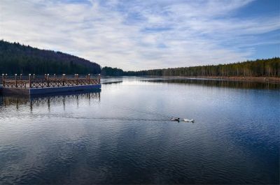 Wooden pier and forest reflection at Topuk Plateau Pond