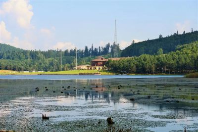 Waterfront structures and ducks at Topuk Plateau Pond