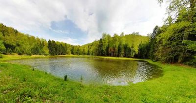 Torkul Pond wide landscape amidst greenery