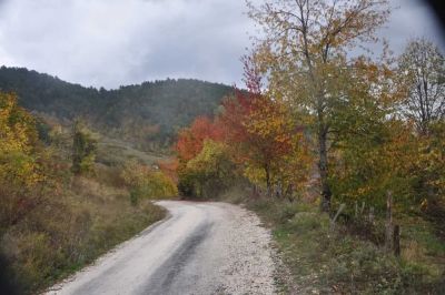 Yığılca'dan Yedigöller'e Yol kırsal havalimanı sonbahar
