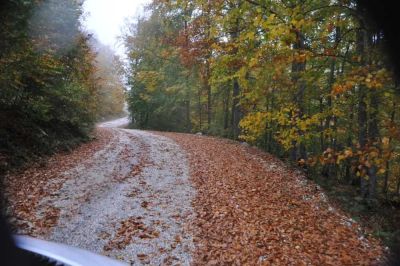 Yığılca'dan Yedigöller'e Yol çakıllı yol orman içinde