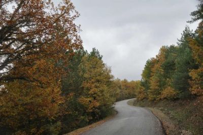 Yığılca'dan Yedigöller'e Yol asfalt yol sonbahar renkler