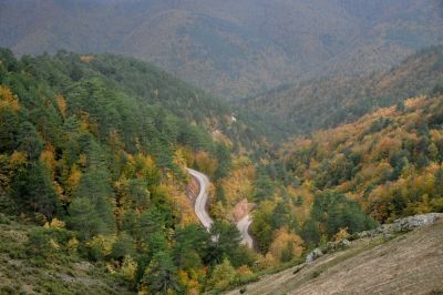 Yığılca'dan Yedigöller'e Yol