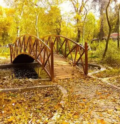 Söğütlük Kent Ormanı ahşap köprüsü sonbahar yaprakları arasında