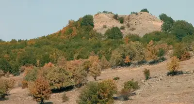 Alucra İkiztepe Tümülüsü orman örtüsü ve sonbahar renkleri