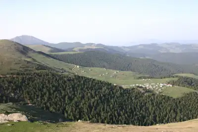 Bektaş Yaylası'nın orman ve yeşil vadiler arasında sakin hali