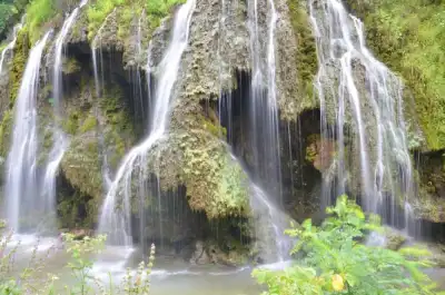 Dereli Kuzalan Şelalesi yeşil kayalık yamaç üzerinden düşen suyu