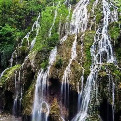 Dereli Kuzalan Şelalesi orman gözlüğü koyu ağaç örtüsü