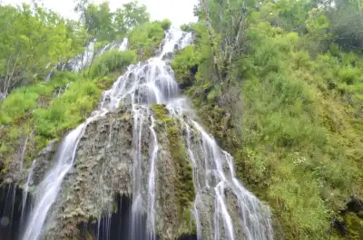 Dereli Kuzalan Şelalesi güçlü su akışı yeşil kayalar