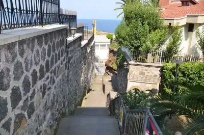 Fiyale Yolu orman ağaçları arasındaki dar yol