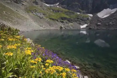 Karagöl Yaylaları'nda renkli dağ çiçekleri ve göl kenarı