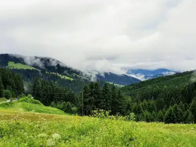 Kulakkaya Yaylası orman ve dağ manzarası bulutlu hava