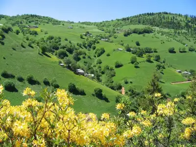 Kümbet Yaylası