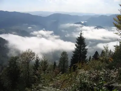 Sis Dağı Yaylası çam ormanları arasındaki derin bulut vadisi