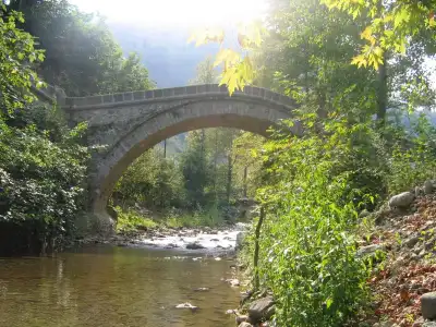 Yavşan Köprüsü orman arasından akan su manzarası