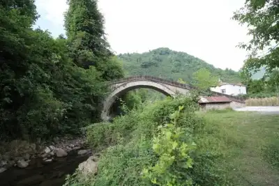 Yavşan Köprüsü ağaçlar arasında taş kemerli geçit