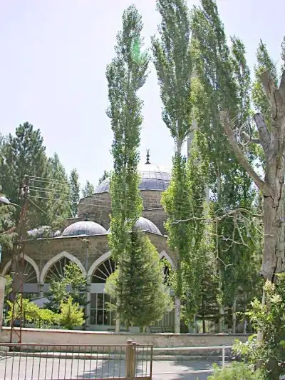 Atabey Sinan Camii (Kurşunlu Camii) çevresindeki çam ağaçları