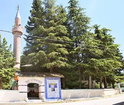 Avşar Hamamı minaresi ağaçlar arasında
